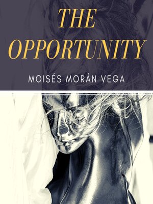 cover image of The opportunity